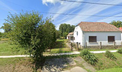 SkyNetworks Computer Kft