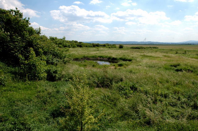 Arheološki Lokalitet - Starčevo