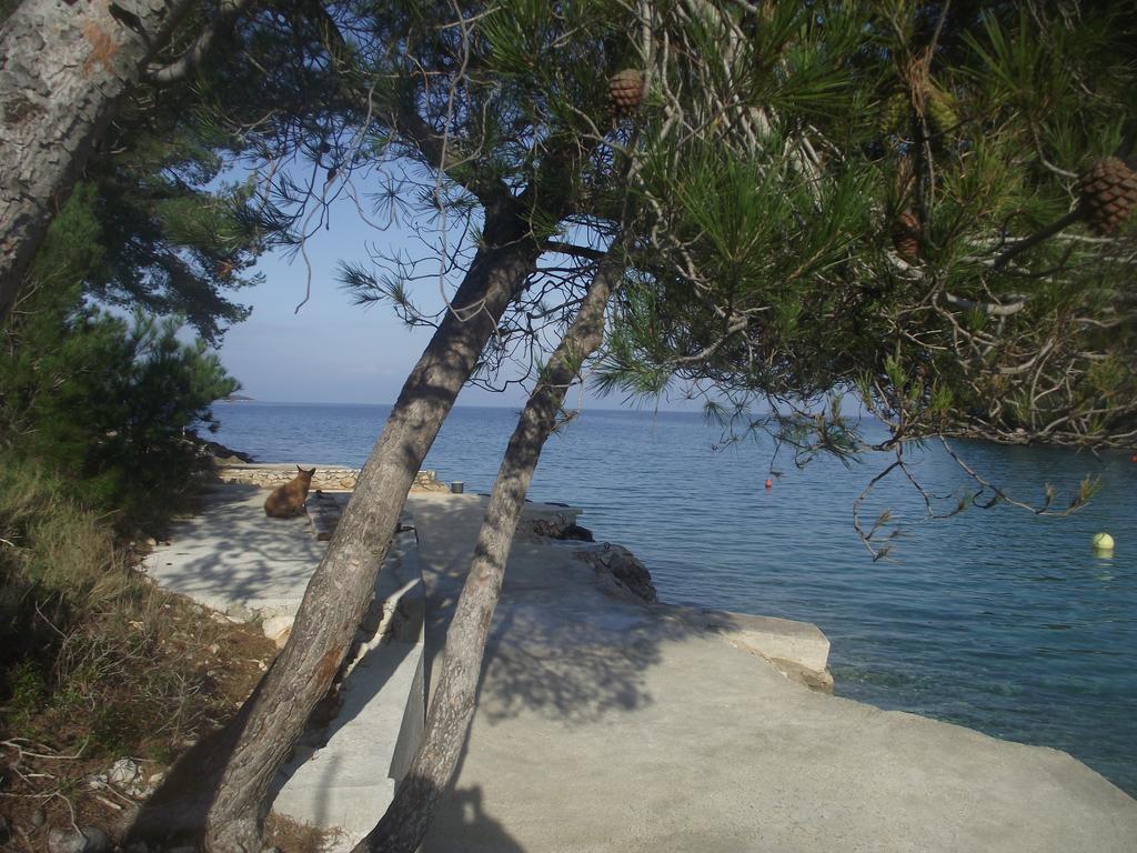 Apartment Vesna Cove Makarac Milna Island Brac