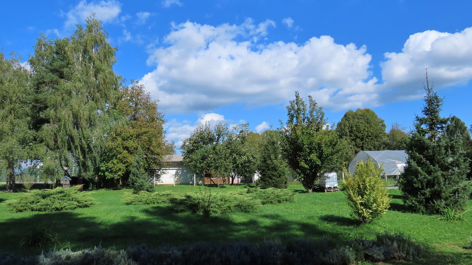 Osnovna škola dr.Jure Turića