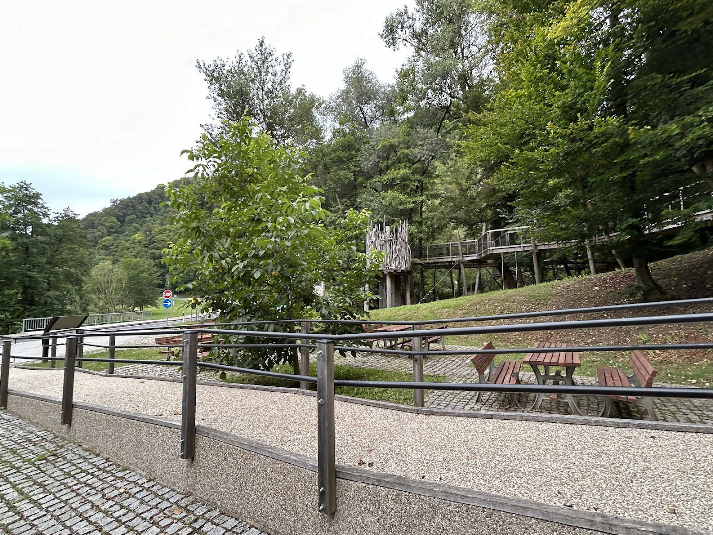 Staza kroz krošnje Zelenjak