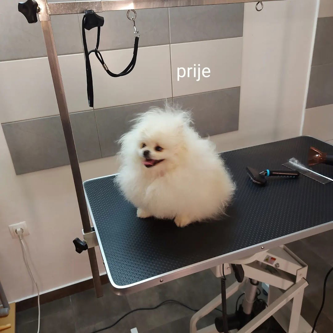 salon medo - salon za pse