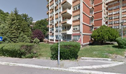 Borivoja Stevanovića 45