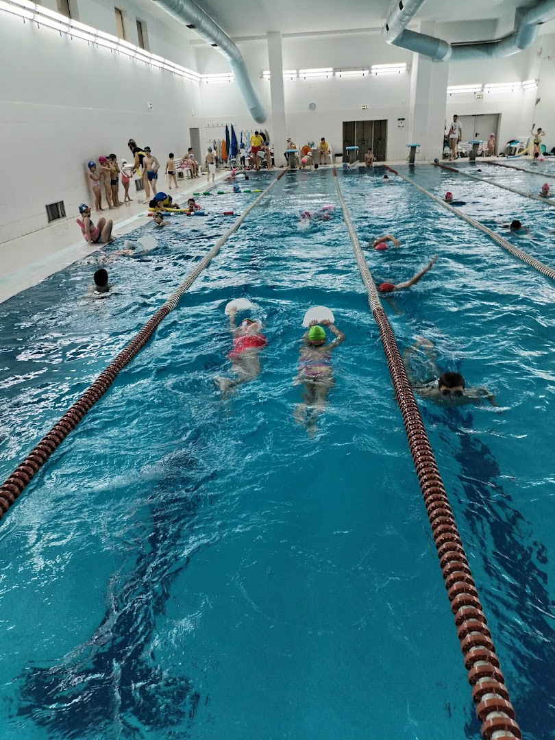 Škola plivanja Beoswim Košutnjak