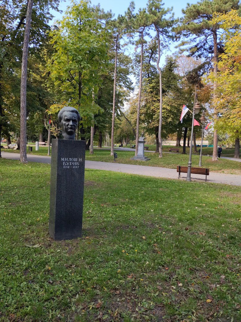 Биста Стевана Раичковића