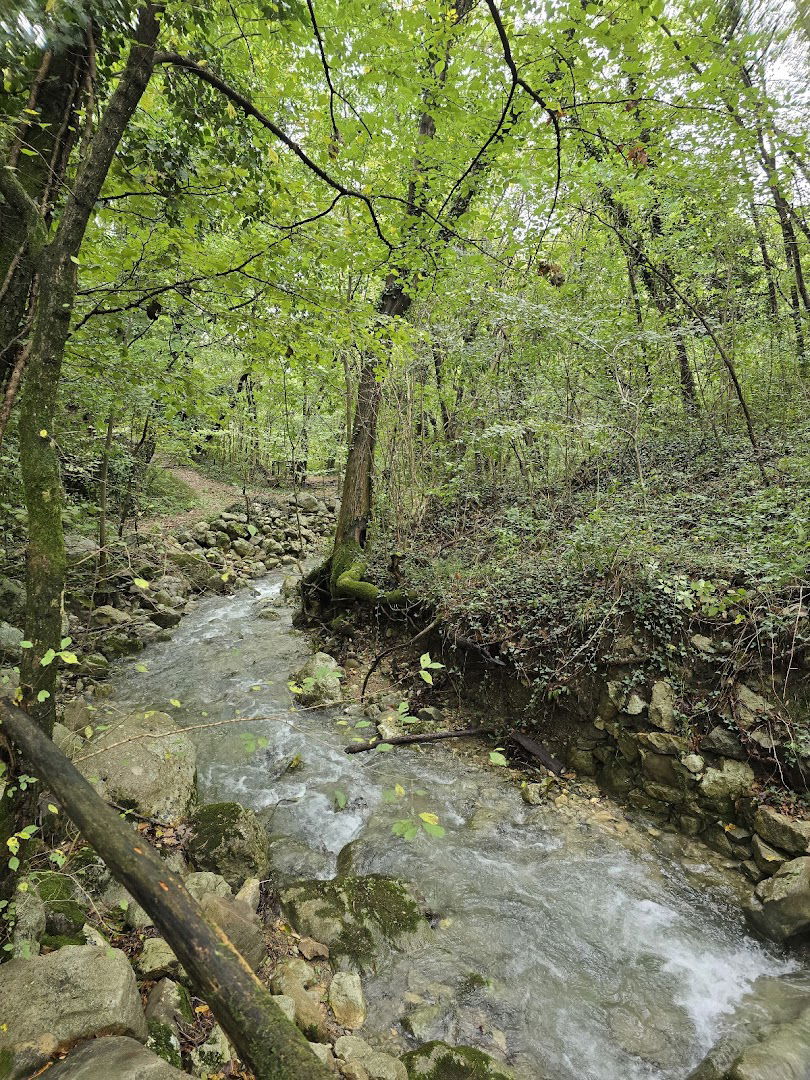 Soteska potoka Konjščak