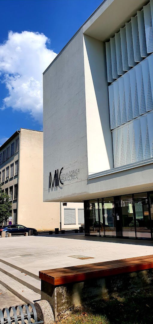 MIC, Medpodjetniški izobraževalni center