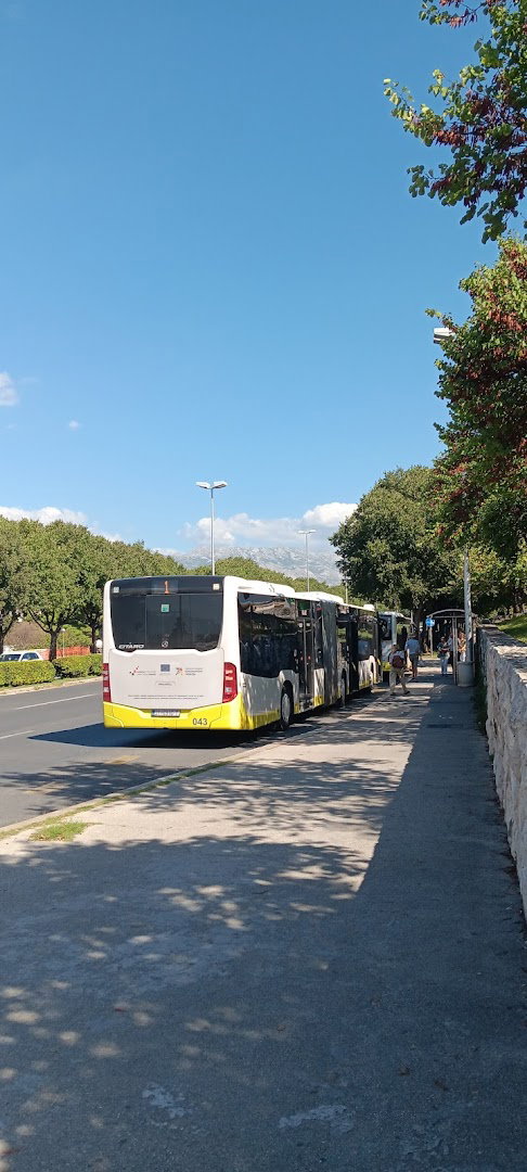 DOMOVINSKOG RATA - KOCUNAR 1