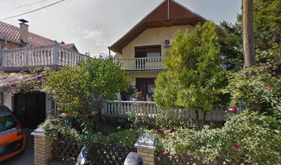 Auto taksi Nebojša Dragojević preduzetnik Pančevo