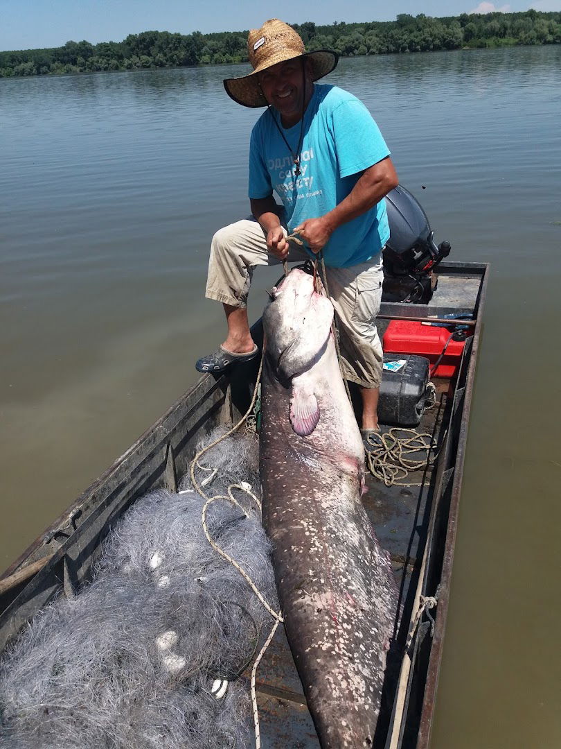 Prodaja recne ribe DEKI ALAS