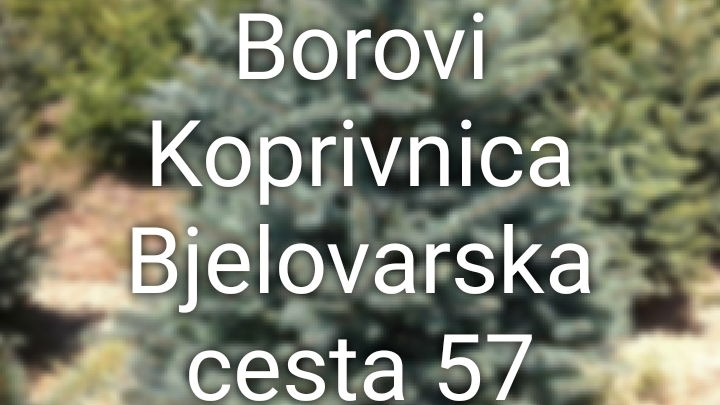 Borovi rasadnik Koprivnica
