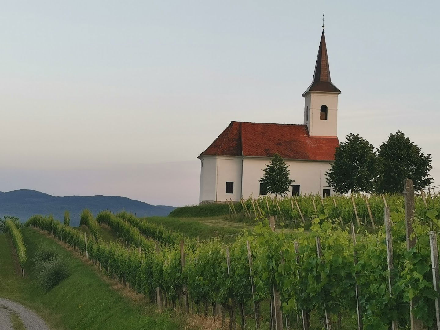 Vinska klet Pečarič-Meginc