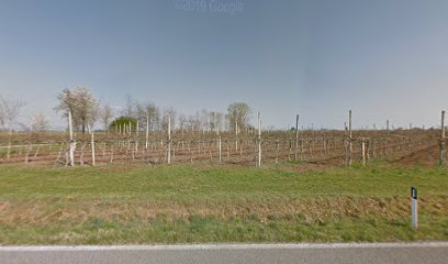 Modoletto spruzzo n3