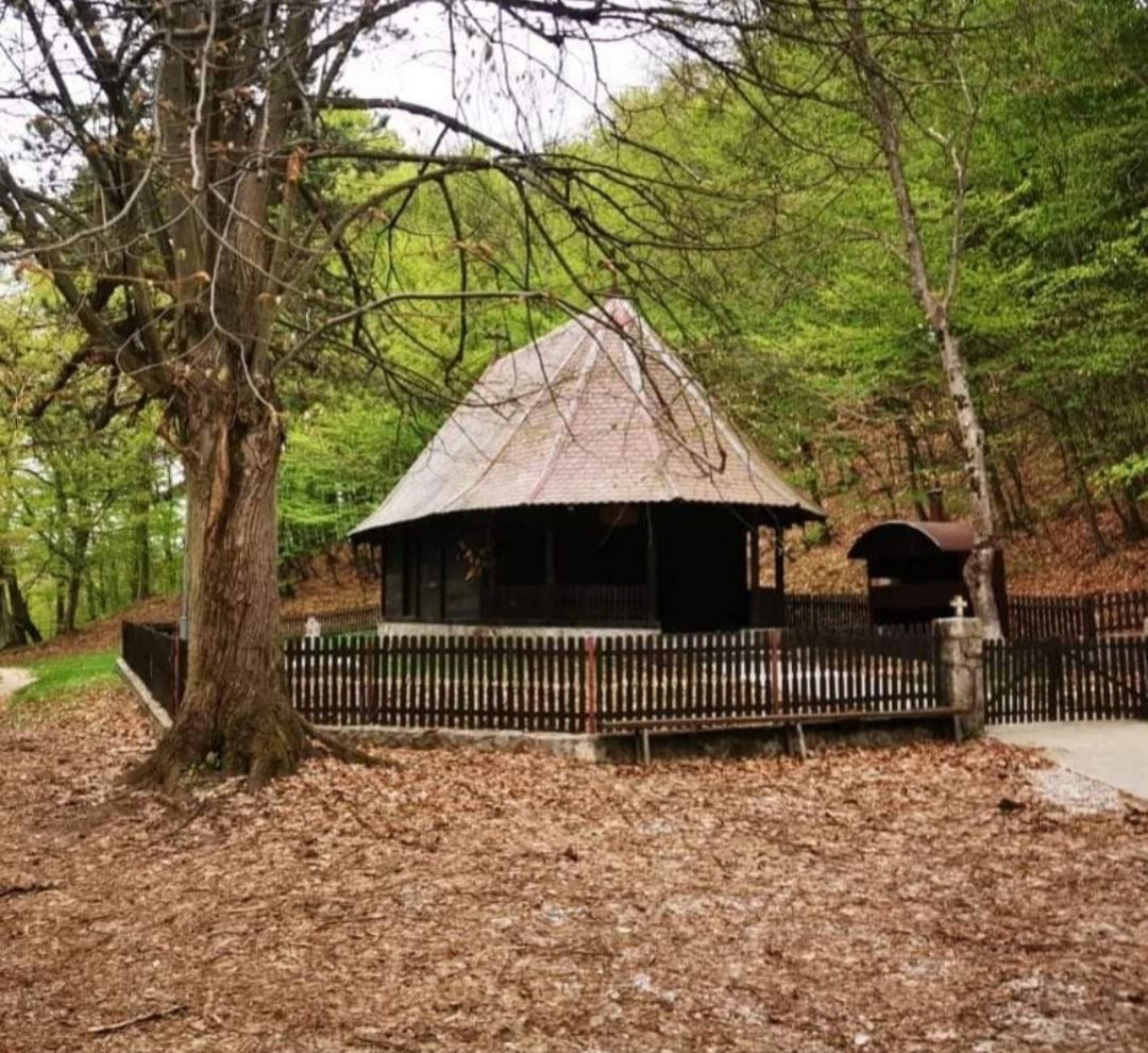 Црква брвнара св. Пантелејмона