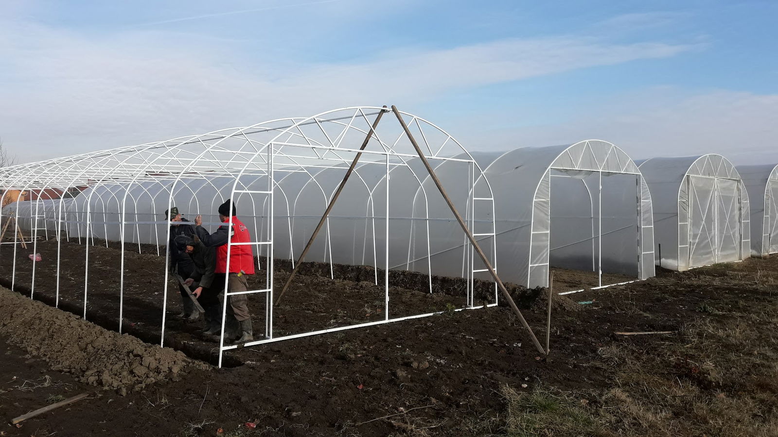 SIMONOVIC Poljoprivredno Gazdinstvo