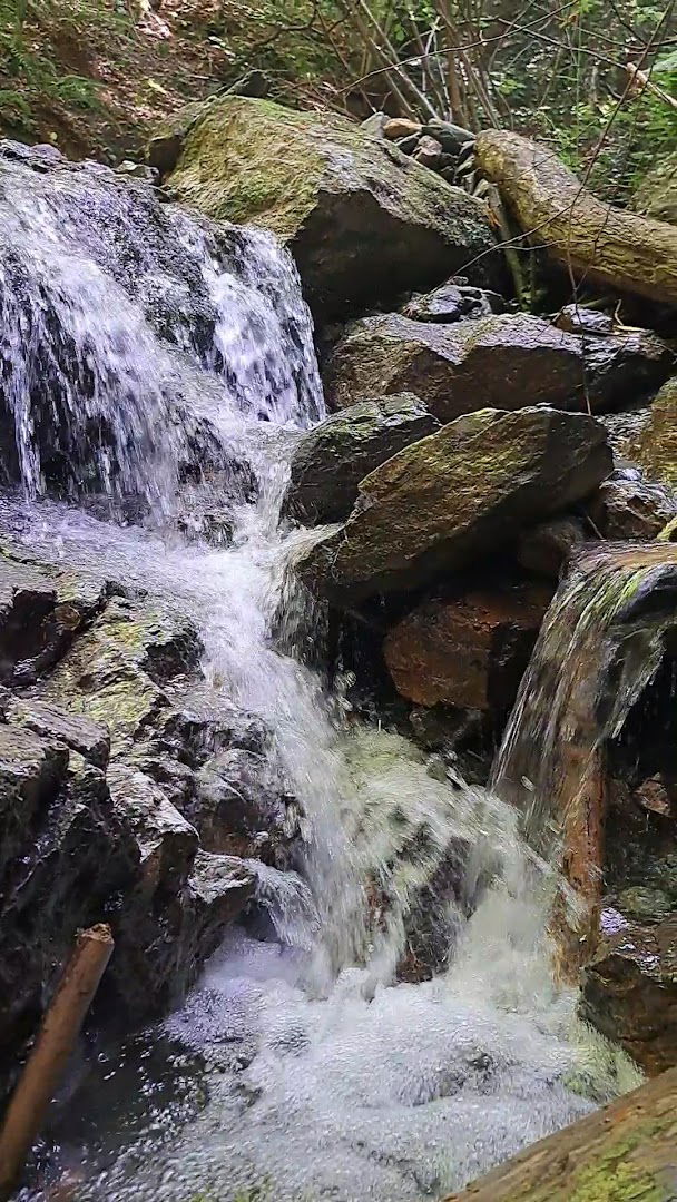 Poučna staza Bistra