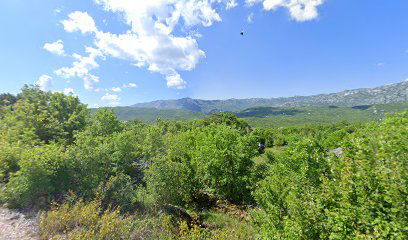 Ujedinjejo Budaićevo