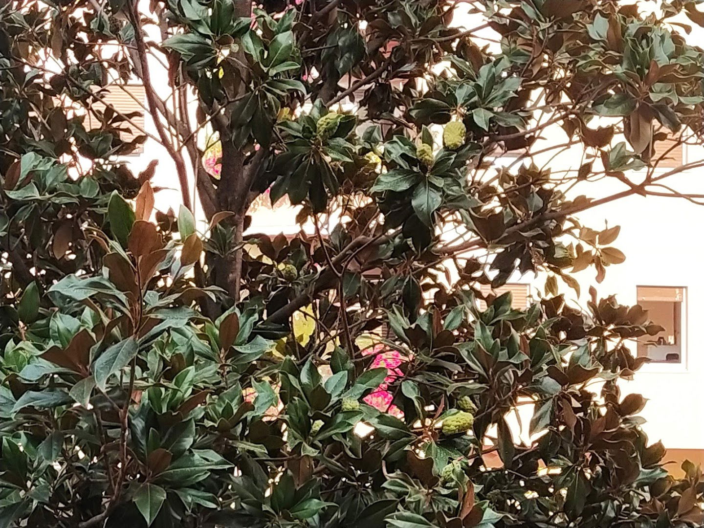 AQUALAB laboratorije