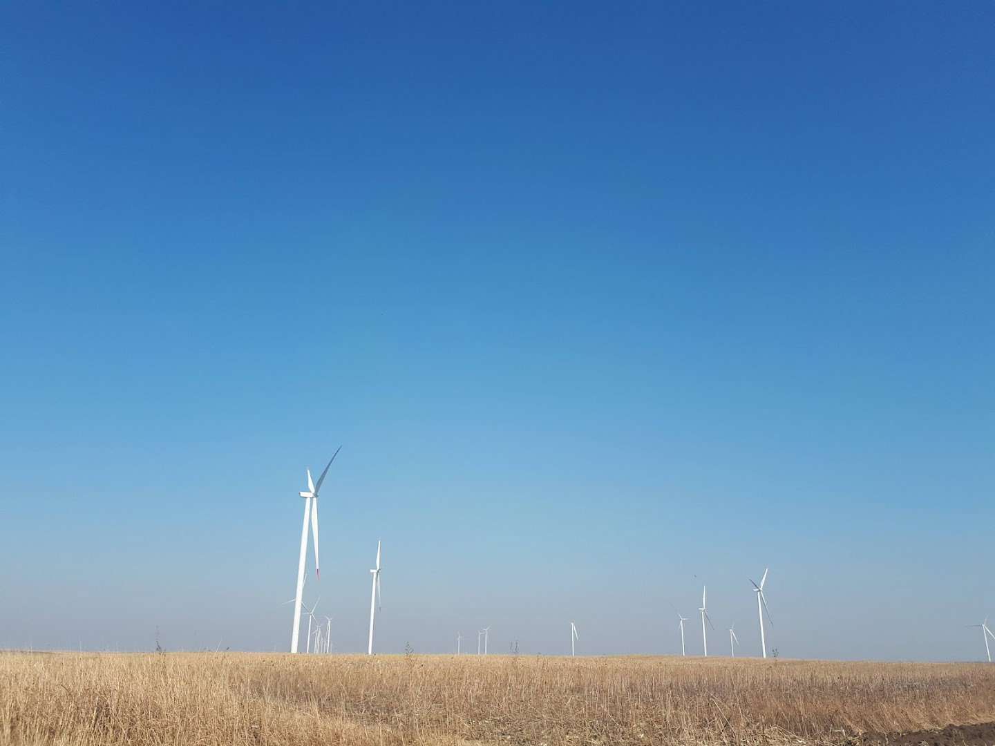 Dolovo Control Center