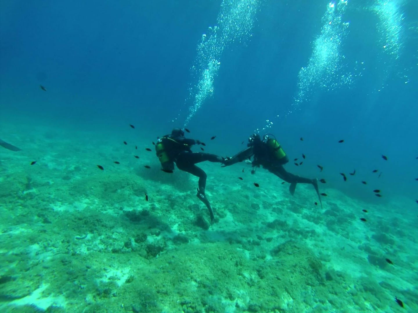 Podvodno istraživački klub Mornar