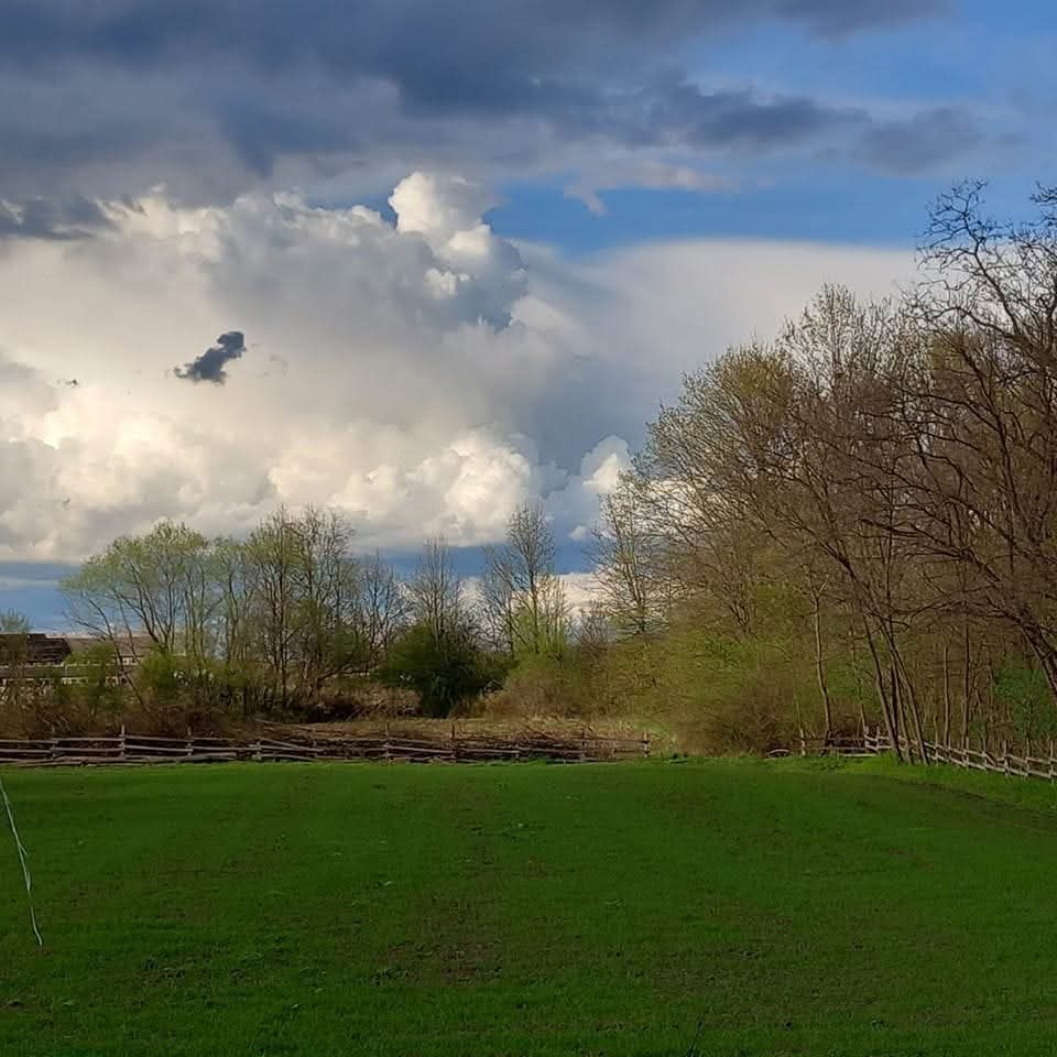 Poljoprivredno domaćinstvo Stamenić