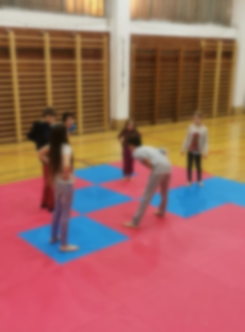KARATE KLUB HRVATSKI DRAGOVOLJAC, DUBRAVA