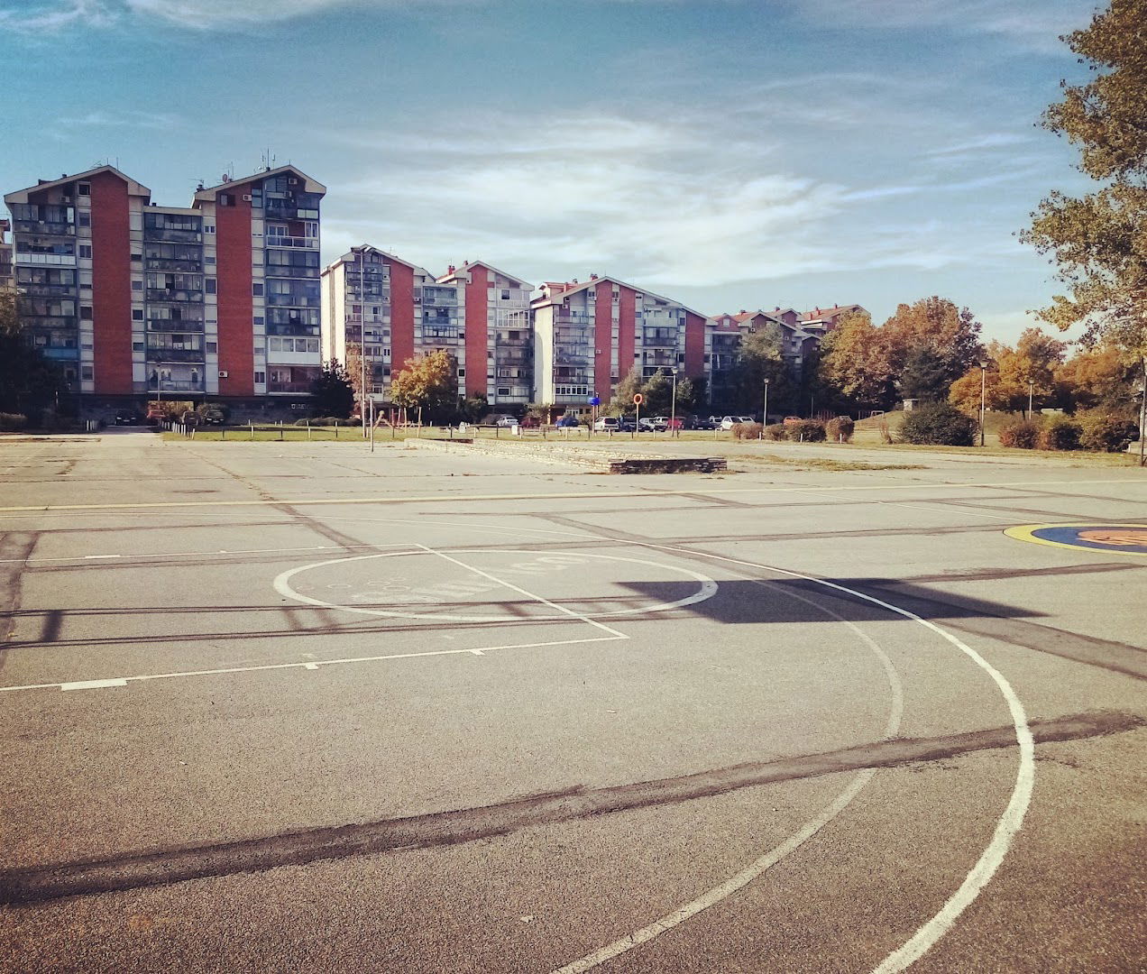 Basketball Court Cage