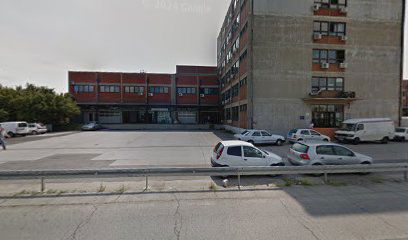 Freight Fowarding Premium Cargo