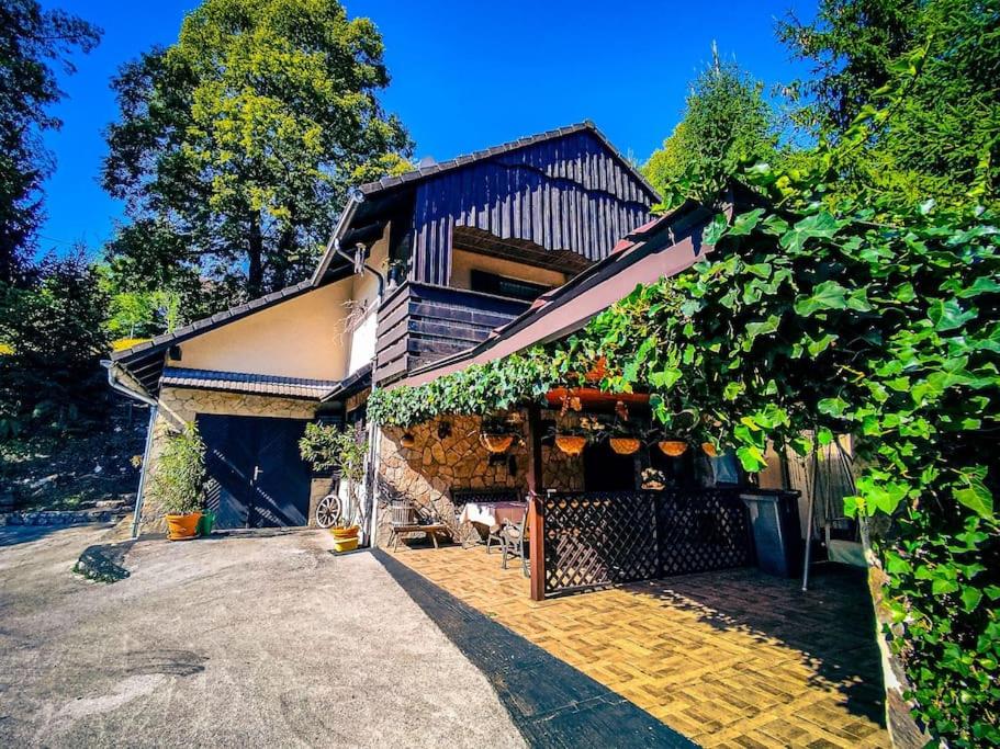 Vacation House Marjanov gozdiček | Novo Mesto