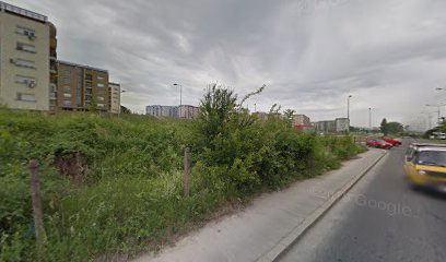 Pukovnika Petra Mišića