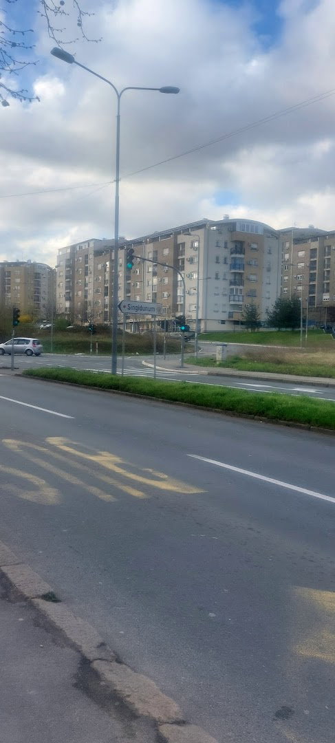 Pukovnika Petra Mišića