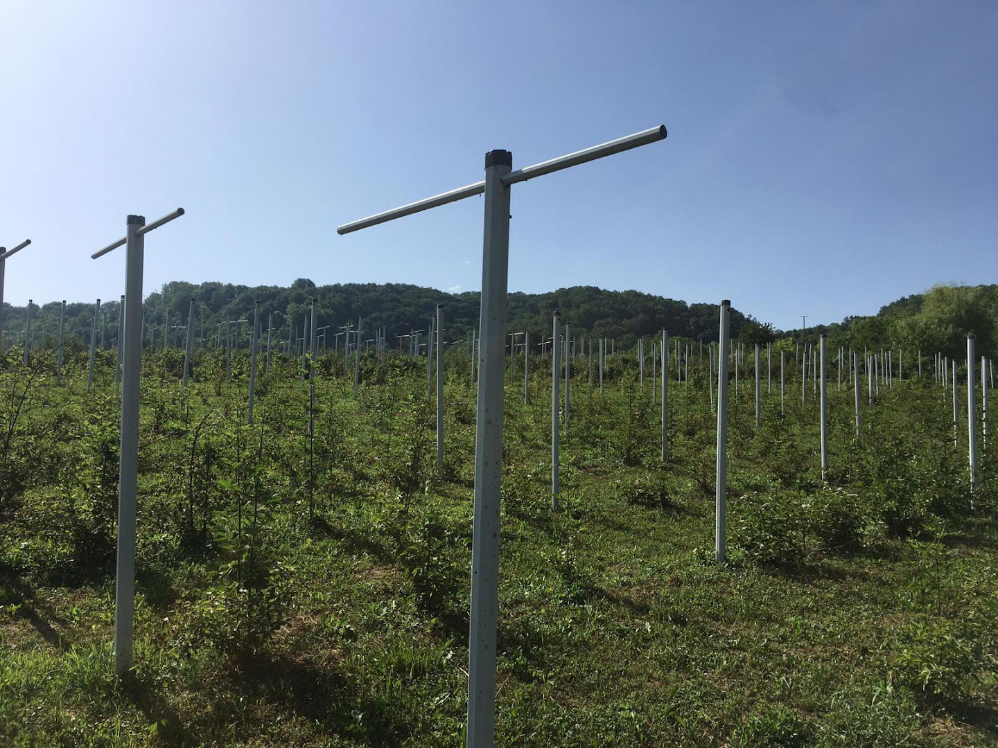 OPG Cetinić-Frankos