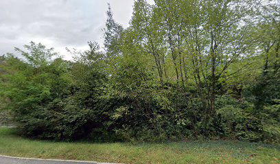 Geobon, svetovanje Karolina Schlegel s.p.