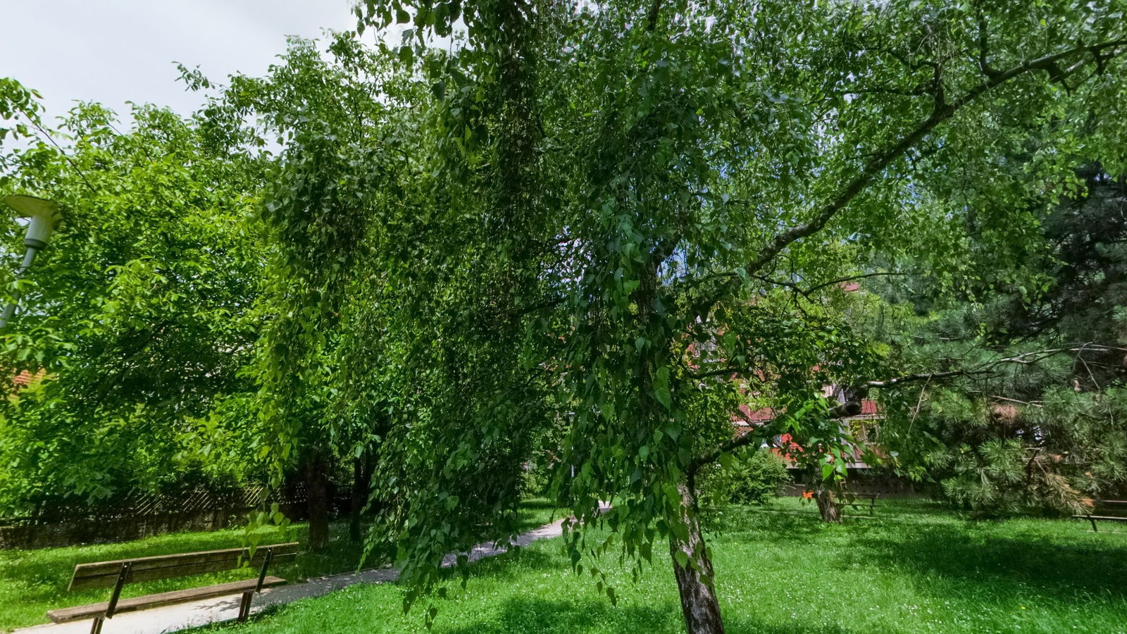 Hairdresser Studio Marcela III - Sigečica