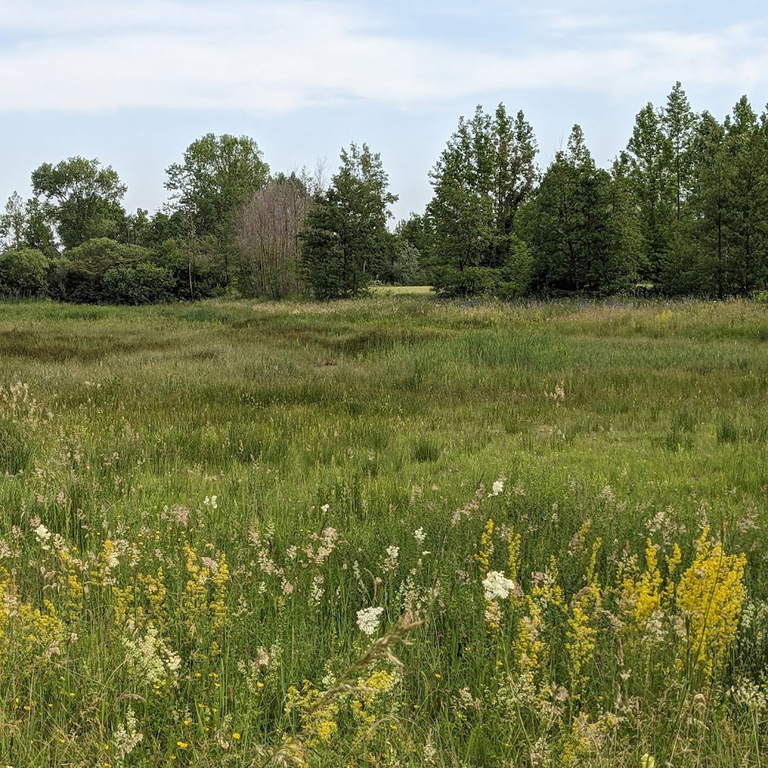 Biotopo Paludi del Corno