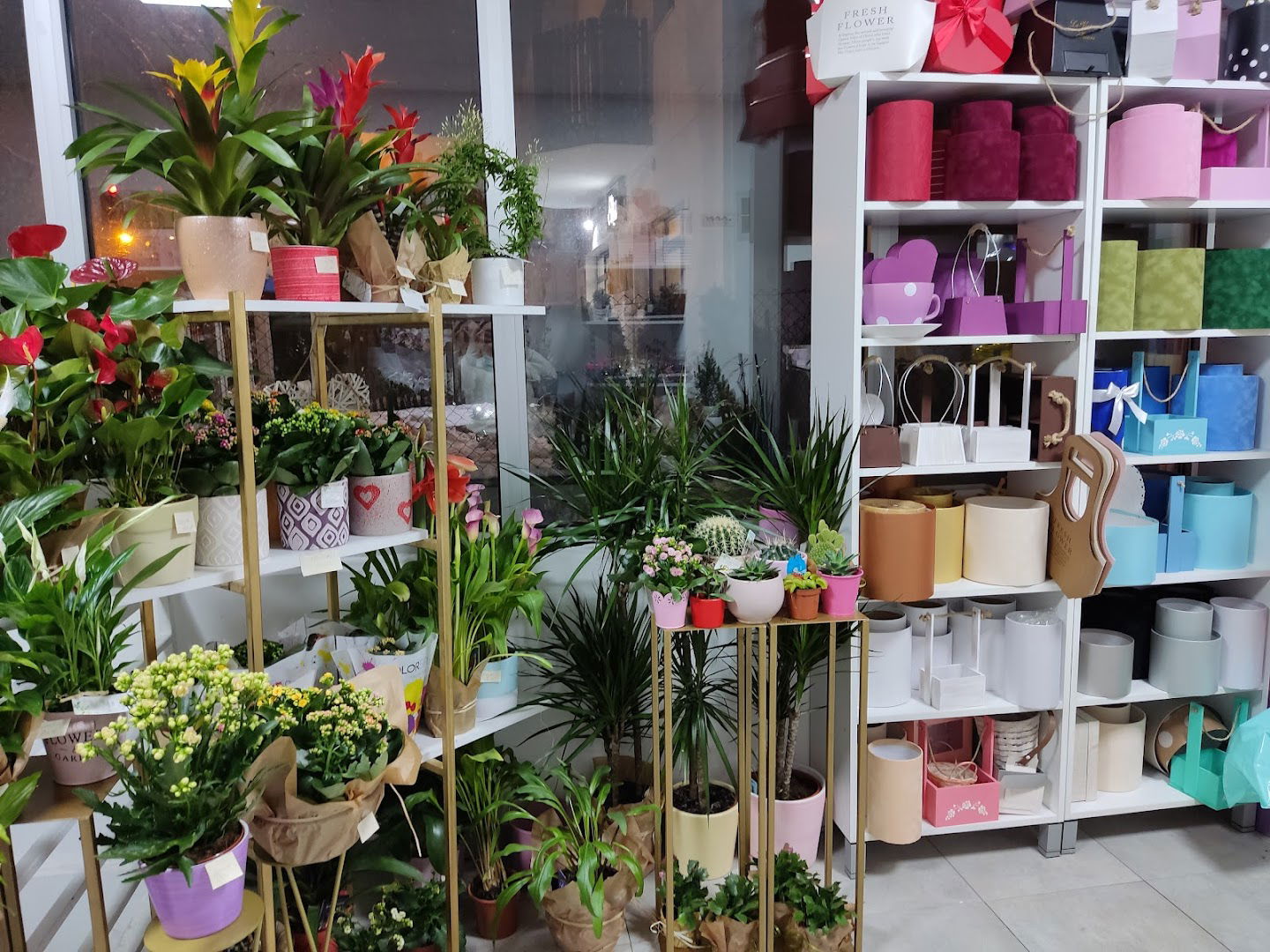 Cvetni studio DekoCvet