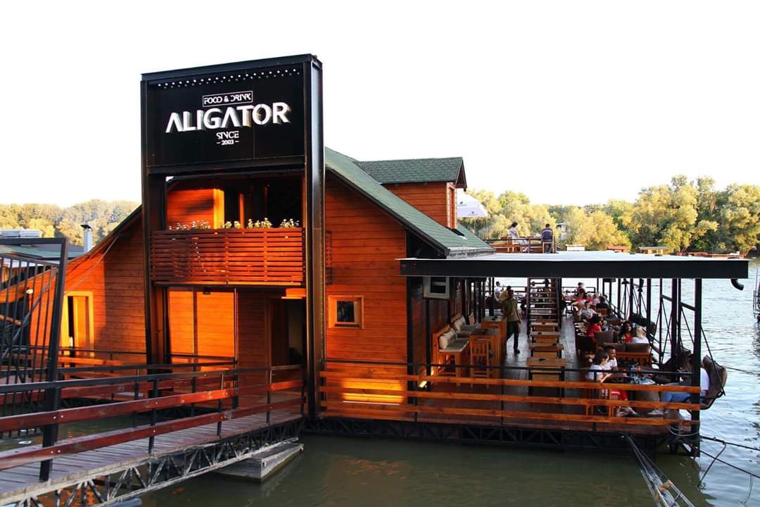 ALIGATOR BAR