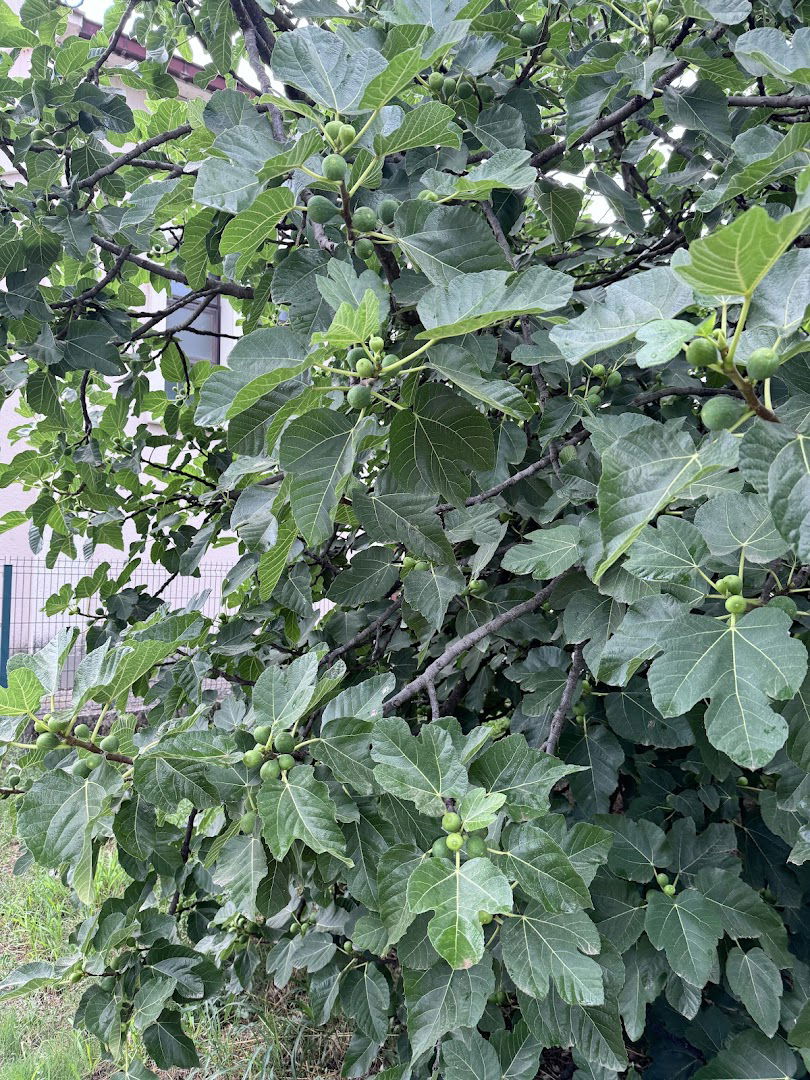 Nogometno igralište