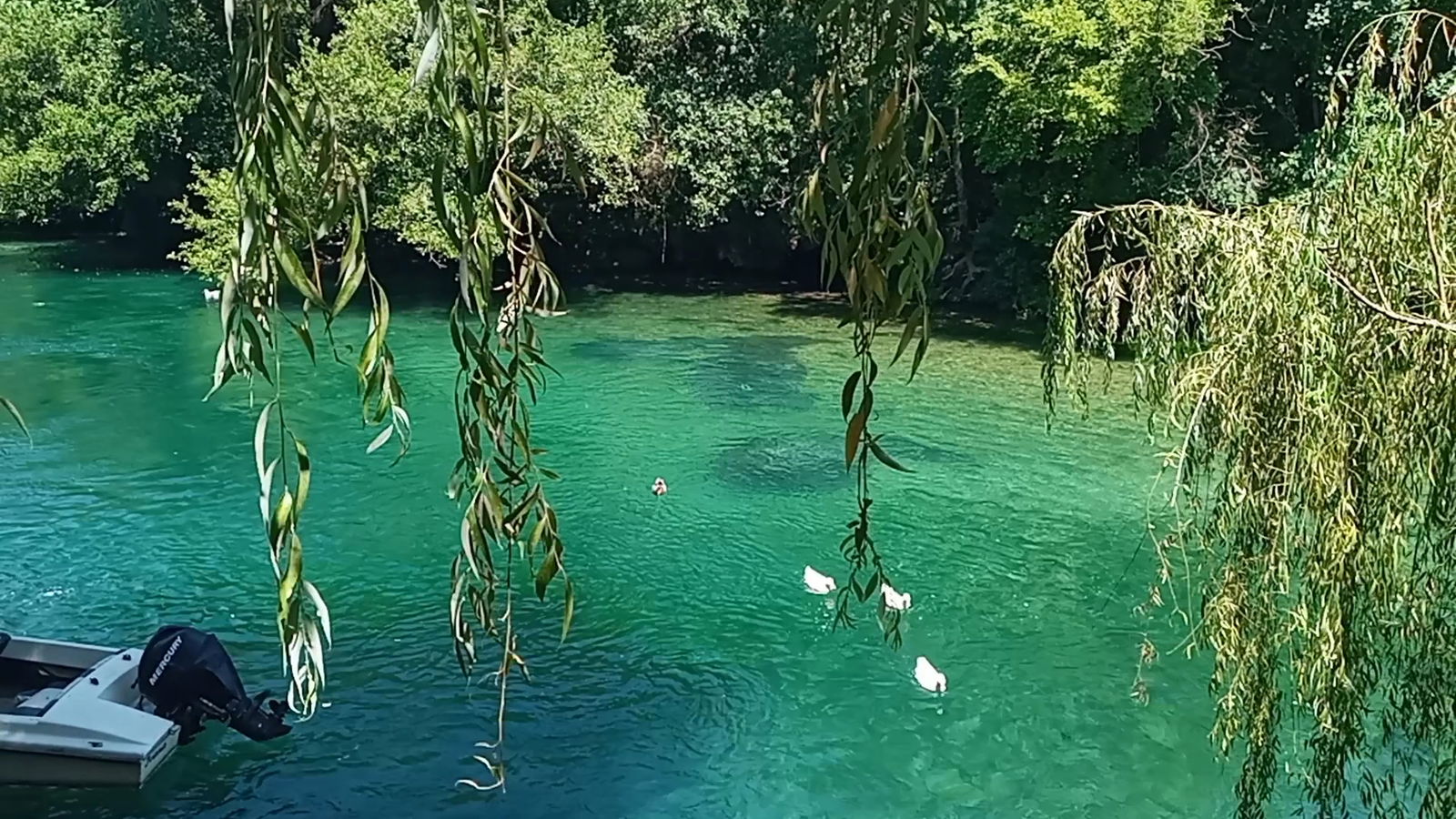 Starodrevna župa Veljaci