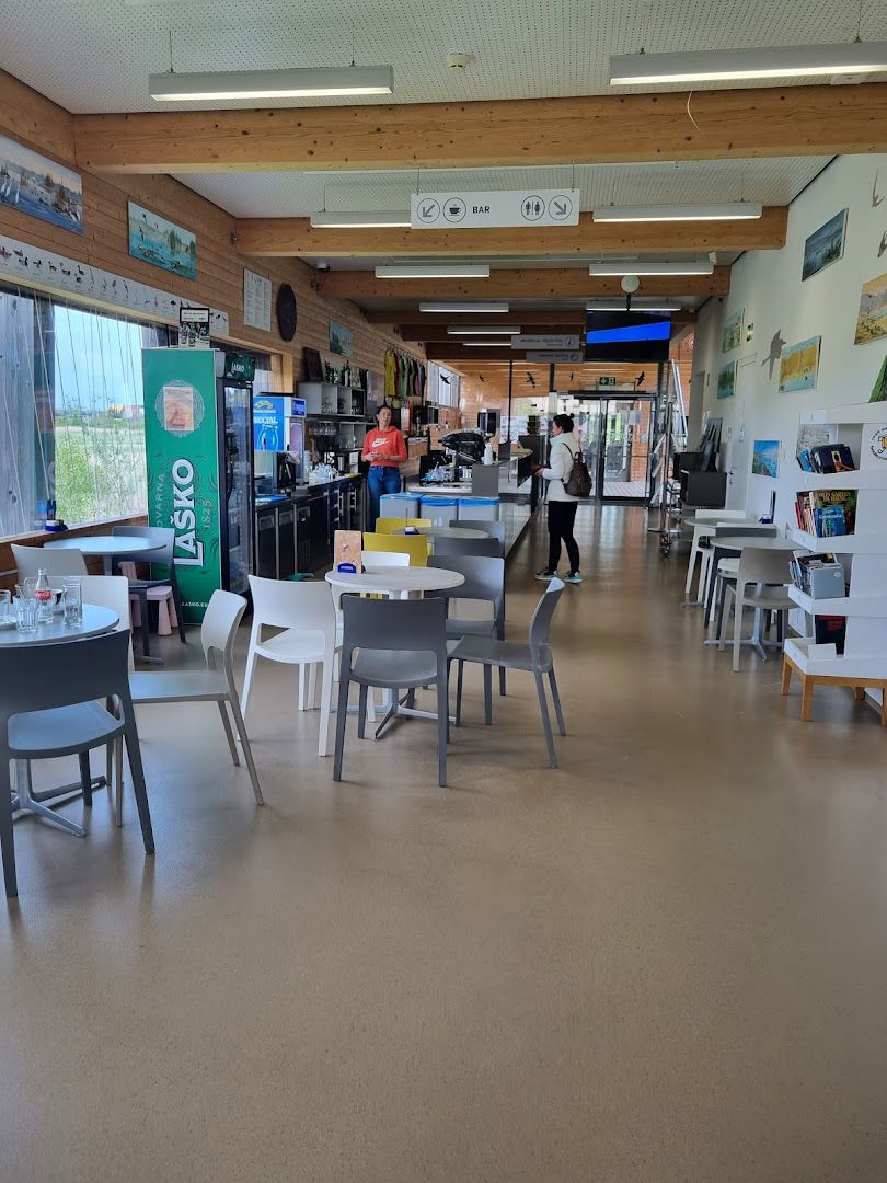 Kava bar Škocjanski zatok