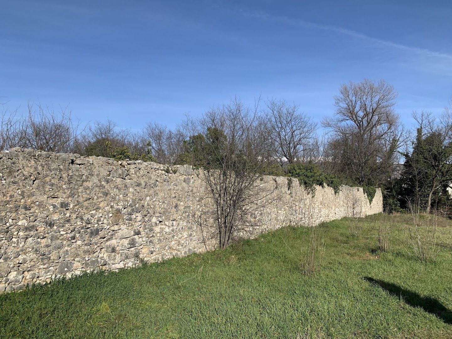 Dvor Ali paše Rizvanbegovića