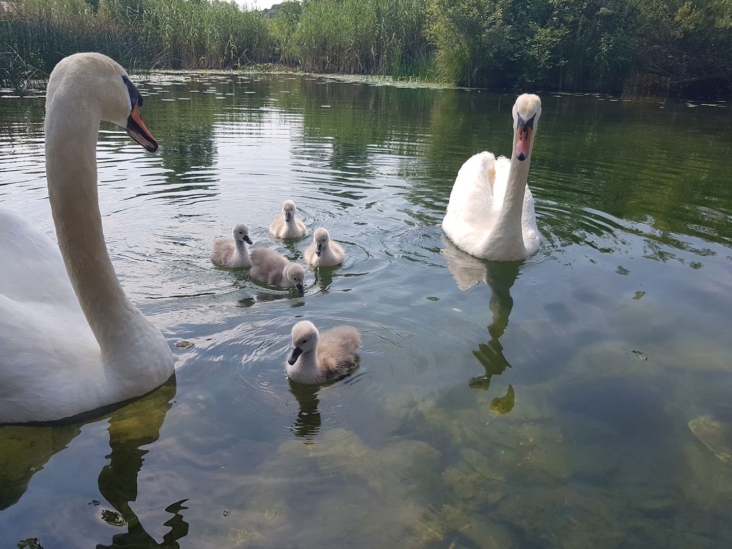 D&I - Turist Pavlaković d.o.o.