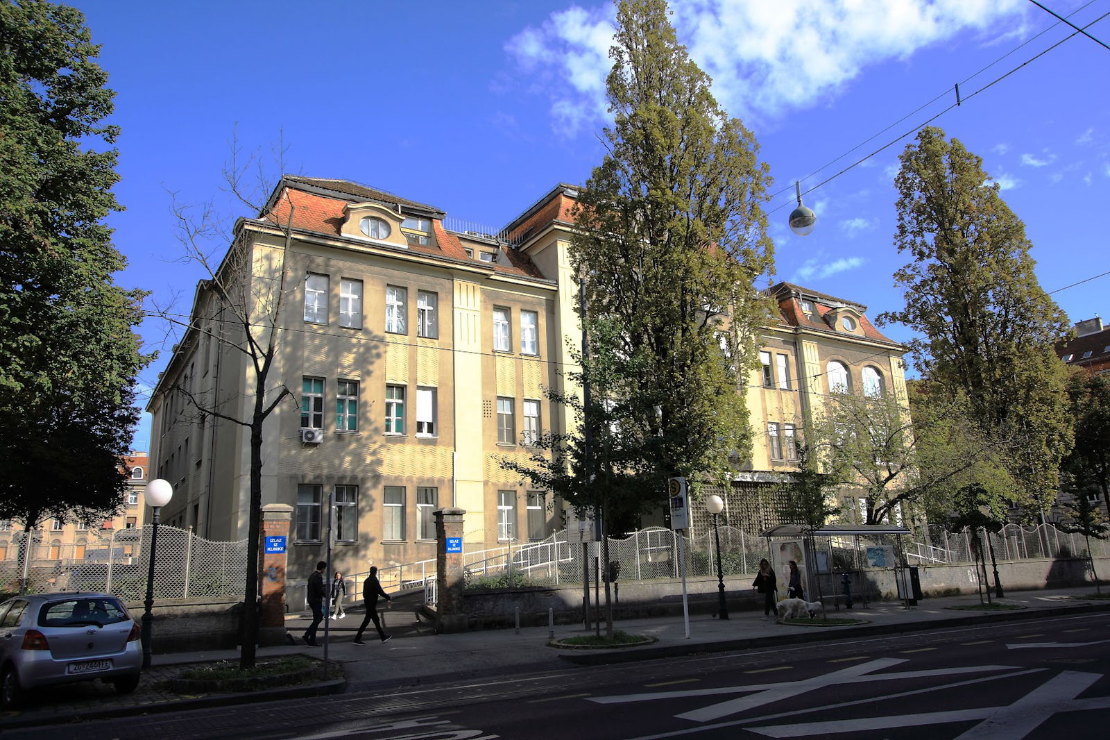 Department of Traumatology