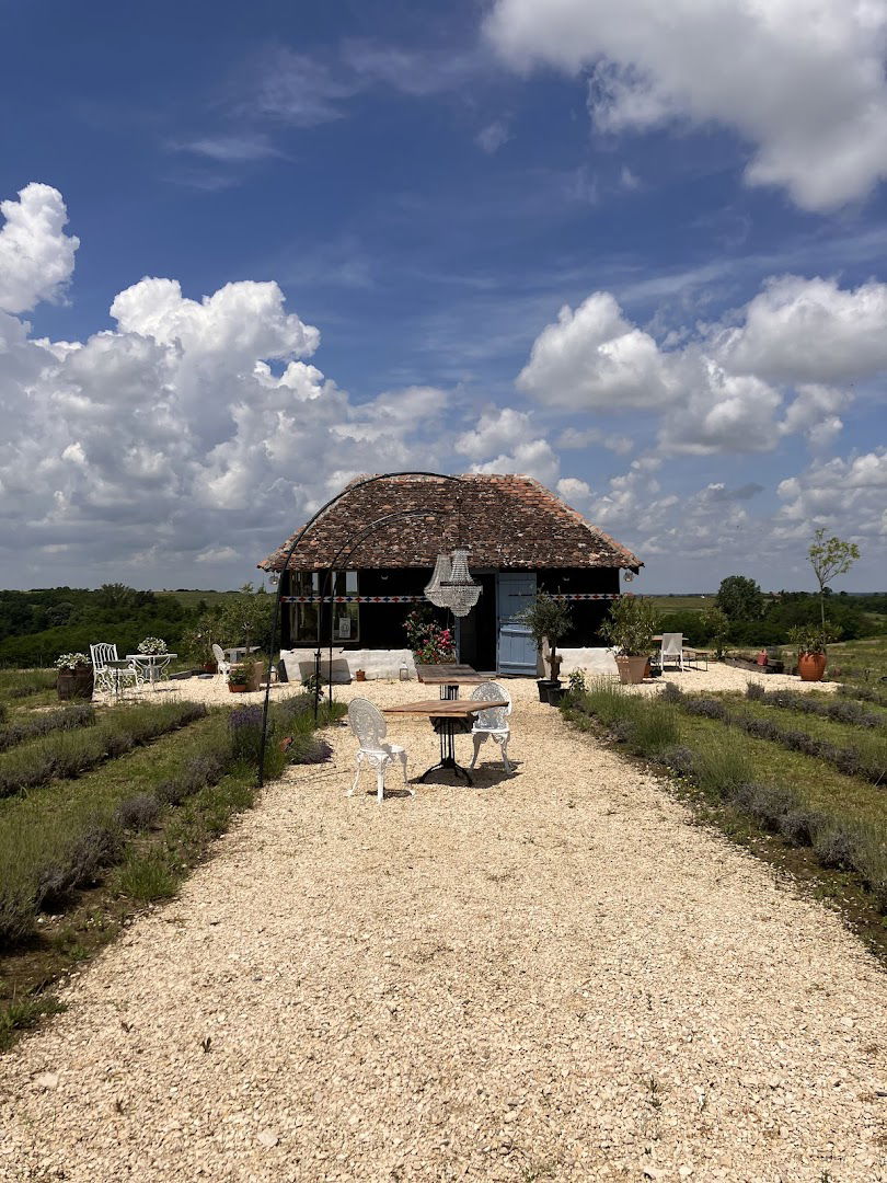 Polja Lavande "Lavandija"