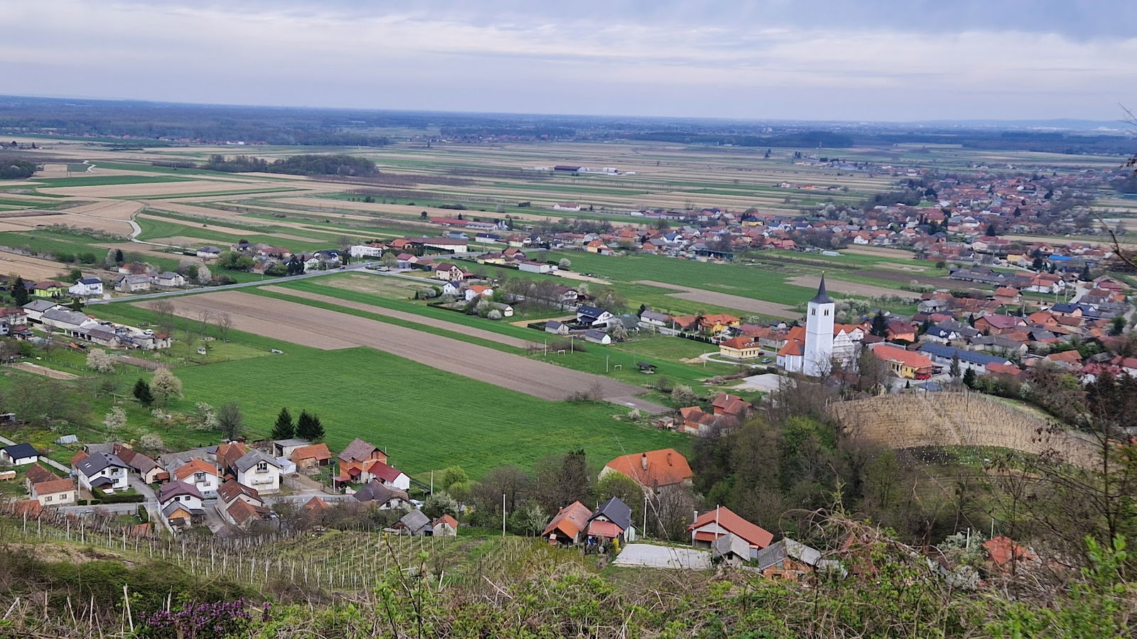 MUNICIPALITY CESTICA