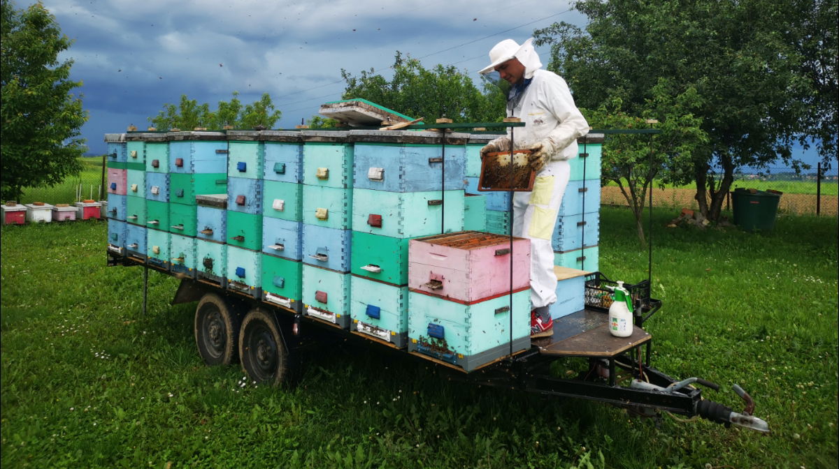 Пчеларско газдинство Новковић