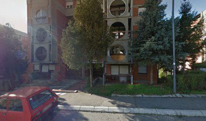 Dobrivoja Petkovića 51