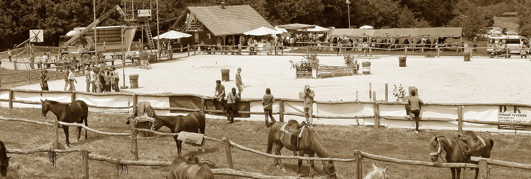 Konjeniški klub Žiri