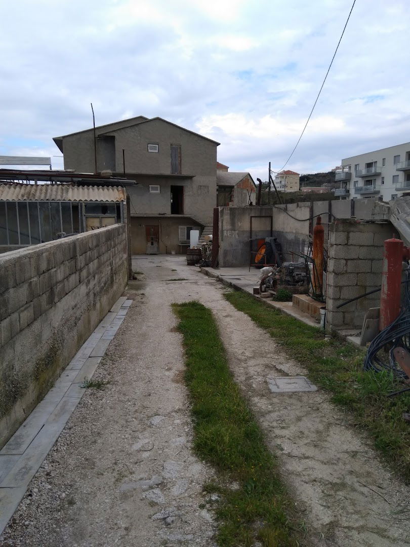 Ronilački Klub Neptun