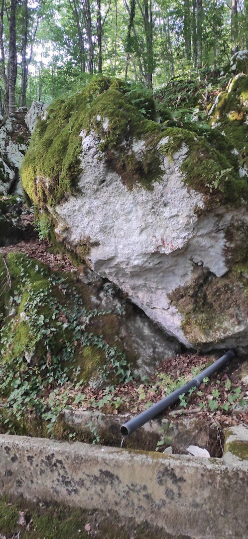 Izvor vode Potajnica